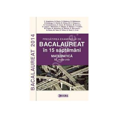 Bacalaureat 2014 in 15 saptamani. Pregatirea examenului la Matematica - M_mate-info